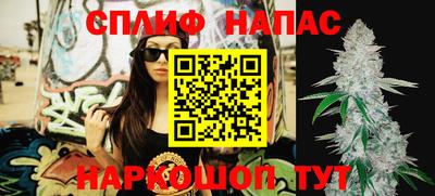 крисы Можга