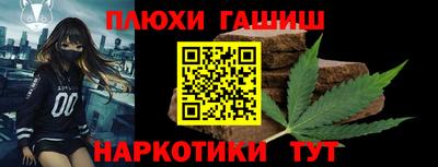 крисы Можга